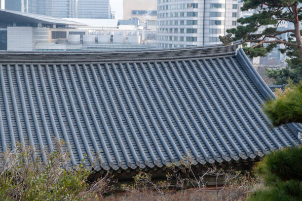 Roof of traditional Korean houses, Korean ancient architecture, snow, trees, and Korean-style houses
