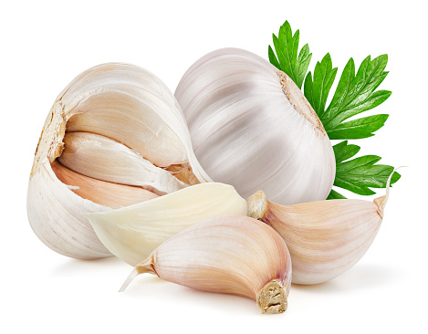 Garlic and cloves on white background. Garlic isolated on white background. Garlic with clipping path.