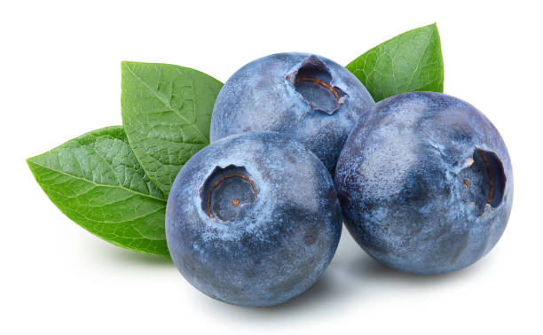 istock Organic blueberry isolated on white background 2149340360