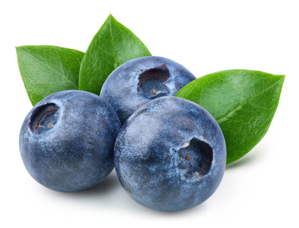 istock Organic blueberry isolated on white background 2149340557