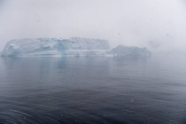 After crossing the terrifying Drake Street you will reach the South Shetland island waters.