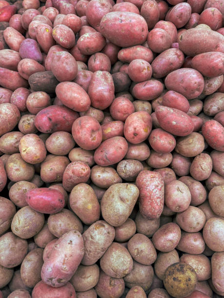 istock Pink potatoes on a market counter as a background. Texture 2149342977