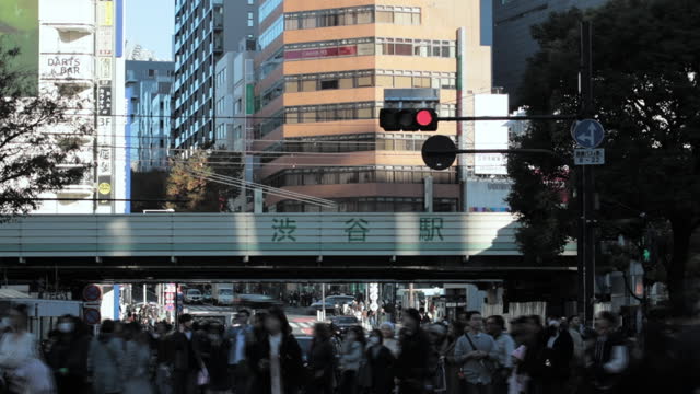 Crossing the Urban Intersection  |  Shibuya Scramble Crossing, Tokyo, Japan
