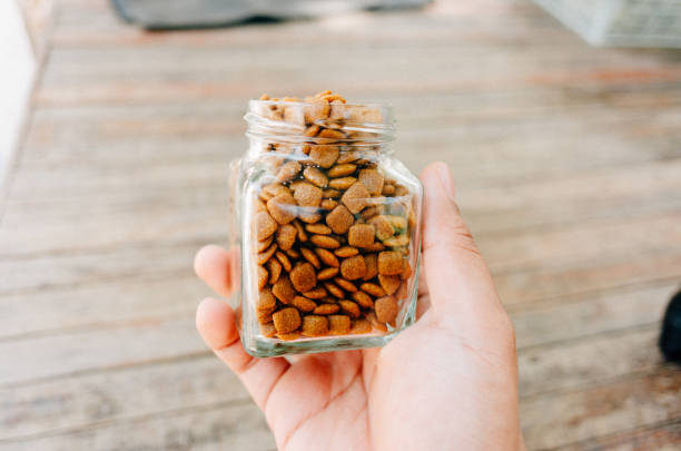 istock dog food in glass jar 2149346147