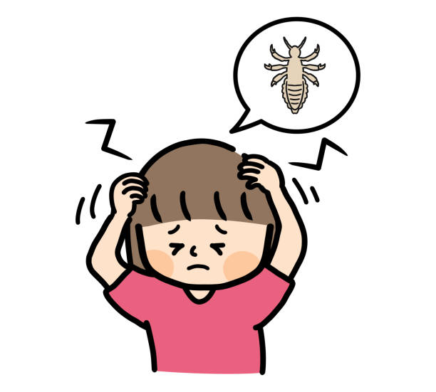 Draw Lice How To Draw Head Lice