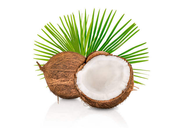 istock Coconut, Palm Leaf & Coconut Half Isolated on White Background 2149347531