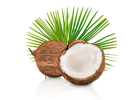Coconut Fruit Isolated on White Background