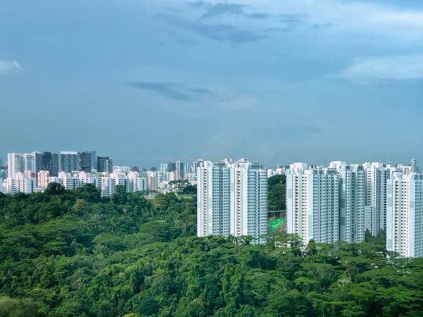 istock Singapore public housing blocks against clear blue sky with copy space 2149348240