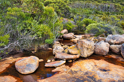 Small mountain stream flowing through dense shrub vegetation and over lichen-covered granite,  Cape Le Grand National Park, Western Australia.