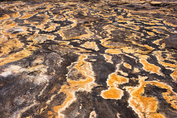 istock Abstract patterns of lichen and water run-off on granite 2149348864
