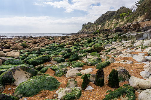 The channel coast at Steephill Cove Beach near Castle Cove, Isle of Wight, England, UK