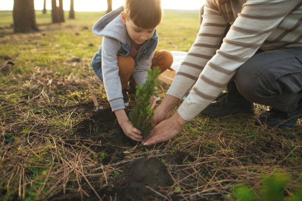 istock Father and son planting trees outdoors in springtime 2149349777