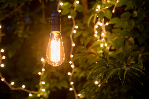 Vintage incandescent bulb and party lights in a garden, summertime party concept