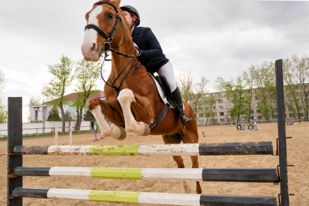 Close-up of horse with a rider jumping over a hurdle. The photo shows the moment when the horse passes over the hurdle. The female rider is raised in the saddle and leaning forward while the horse prances. The rider and the horse seem coordinated and synchronized. The girl wears a brown jacket that matches in color with the horse. In the background is the moody sky. The photo was taken in a training, but the rider has been equipped as for a competition.