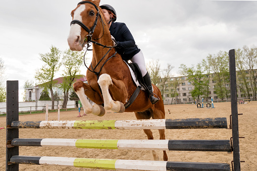 Equestrian event, rider and horse mid-obstacle course. Female jockey in uniform. Show jumping. Horseback riding school
