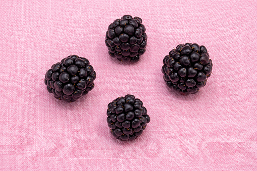 Close up of four single fresh blackberries (Rubus) on pink linen background.