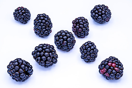 Close-up of several fresh blackberries (Rubus) in two crossing rows. Isolated against a white background.