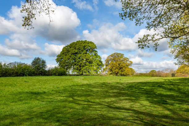 istock A green Sussex landscape in springtime 2149351230