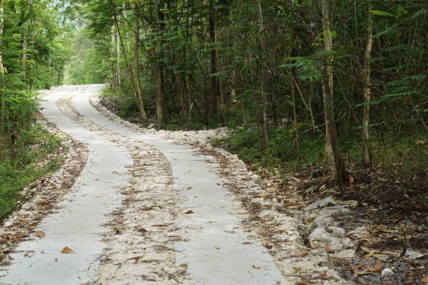 istock A dirt road with a few trees in the background 2149351527