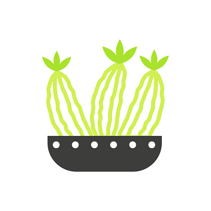 Pot of cactus, succulent plant for home or office decor, black and green line icon vector illustration