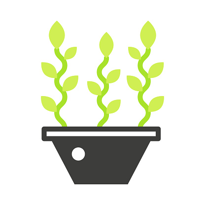 Three twisted plants with leaves growing in pot, black and green line icon vector illustration