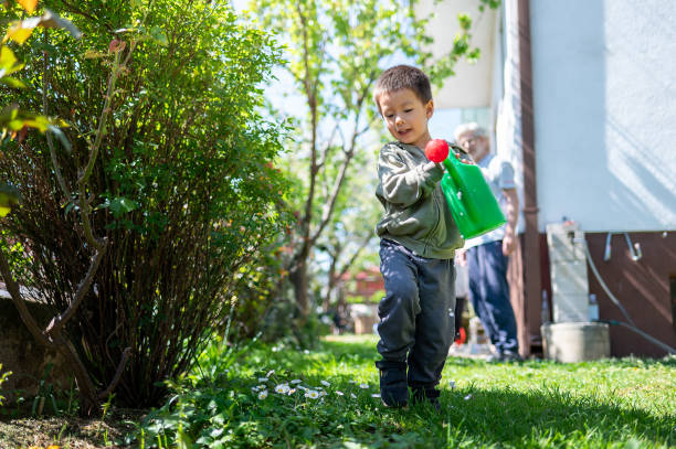 A little boy of 3 years old is completely focused on watering garden plants with a bright green watering can, invoking the spirit of youth and growth. Capturing the essence of youthful curiosity and growth, a 3-year-old boy is fully engrossed in watering garden plants with a vibrant green watering can, symbolizing the nurturing spirit of childhood