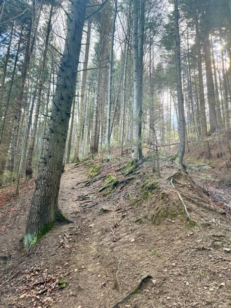 istock Hiking in the mountains in the spring 2149358228