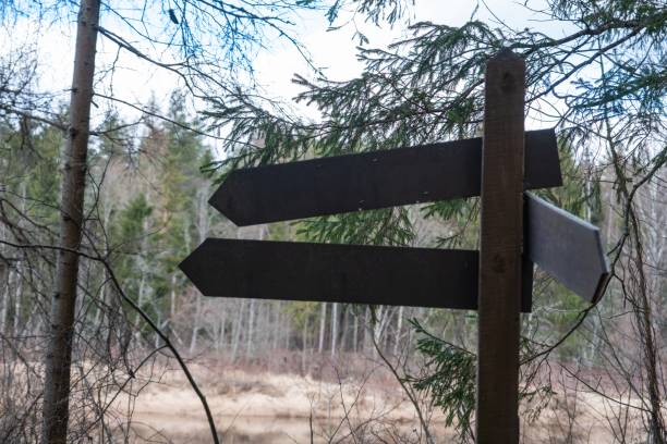 istock Two wooden arrows in a forest pointing opposite ways under the cloudy sky 2149359043