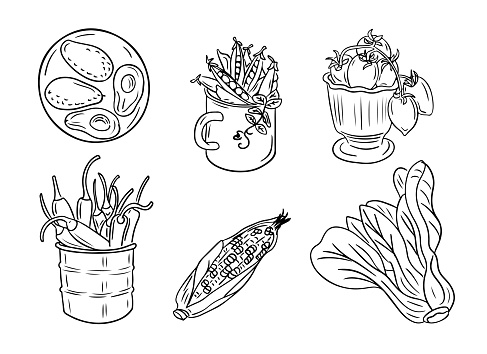 Collection of outline sketchy vegetable drawings. Black outline doodles isolated on white background. Vegan friendly concept. Ideal for coloring pages, tattoo, pattern