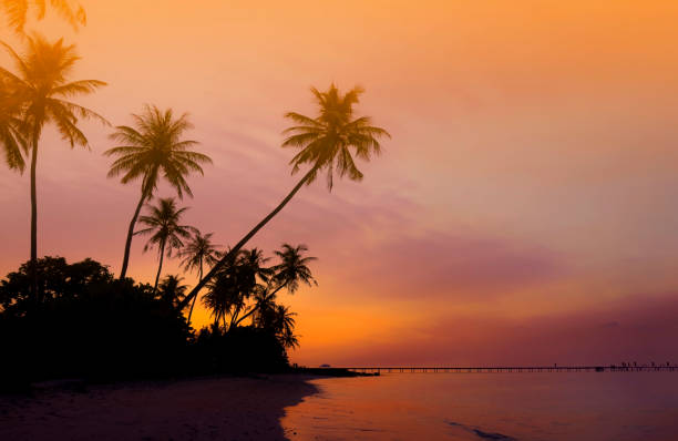 istock Banner Summer with colorful theme as palm trees background as texture frame background 2149364774