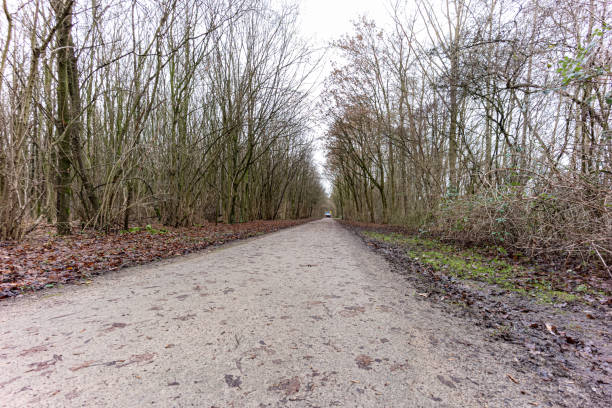 istock country lane in a beautiful landscape 2149367374