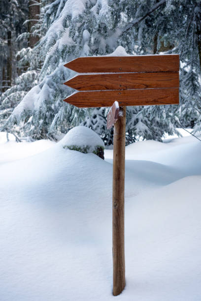 istock Direction sign snow covered in winter forest 2149367952