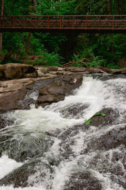 istock Stream and Wooden Bridge in the Forest 2149374089