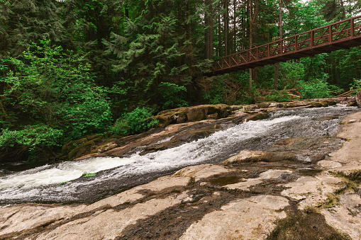 River Creek and Wooden Bridge in Lacamas Regional Park, Washington, USA. Cascade Falls over Rocks