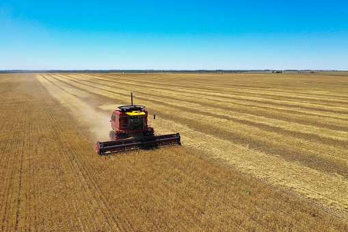 Wheat harvest in the Argentine countryside, La Pampa Province.