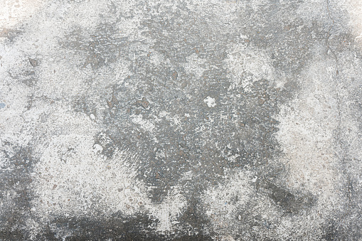 Snowy Marble Wall Texture Winter Frost Design