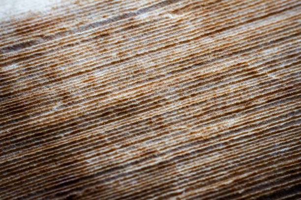 Extreme closeup of an old book from the side. Selective soft focus, shallow depth of field. Bibliophile, bookworm abstract background