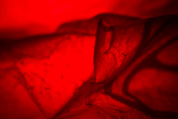 Extreme close up of red empty plastic bag background. The plastic surface is wrinkly and tattered making abstract pattern. Selective focus, shallow depth of field.