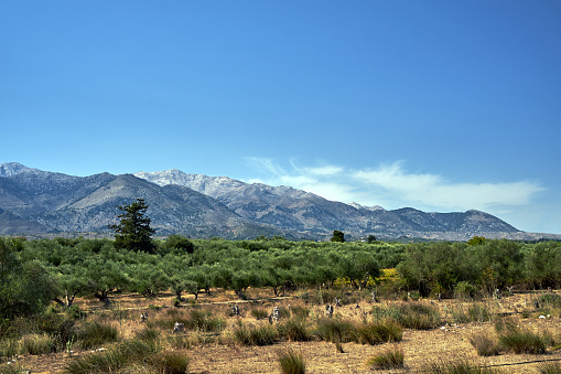 A valley and rocky peaks in the Lefka Ori mountains on the island of Crete, Greece