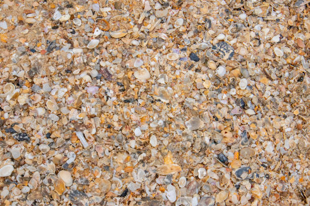 Sand texture background Beach in Pak Phanang district at at Nakornsrithammarat, Thailand