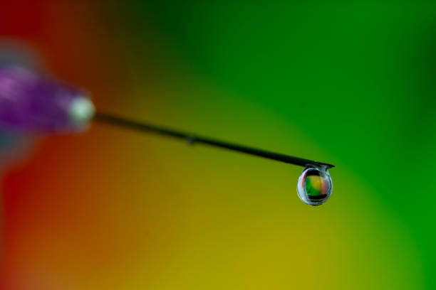 Macro photography, a drop of medicine flows out of the tip of the needle in the liturgical syringe, injection and medicine