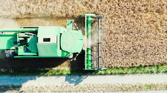 Beautiful top view of combine harvester which mows wheat in sunlight at sunset stock video
