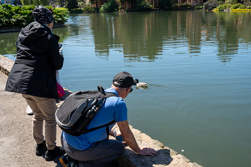 Mature man looking at male mallard duck in pond in San Francisco springtime day