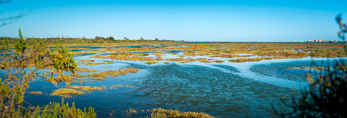 Panoramic view on Rio Formosa, protected natural parkland near Faro in the Algarve, Portugal