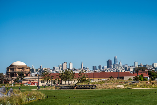 San Francisco Skyline from Presidio during springtime day