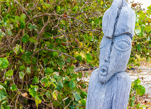 Carved Wooden Idols Guard Ancient Burial Grounds at Ho'ona Historic Preserve, Hawaii Island, Hawaii, USA