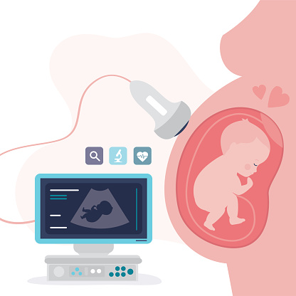 Ultrasound pregnancy screening concept. Scanning young mother belly. Embryo baby health diagnostic. Human unborn baby fetus in mother's belly. Pregnancy concept. Baby in womb. flat vector illustration