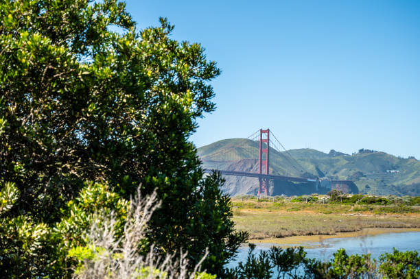 istock Golden Gate bridge from Presidio 2149390595