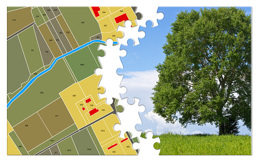 Cadastral mape and General Urban Plan with lone tree in a rural scene - From nature to city concept.