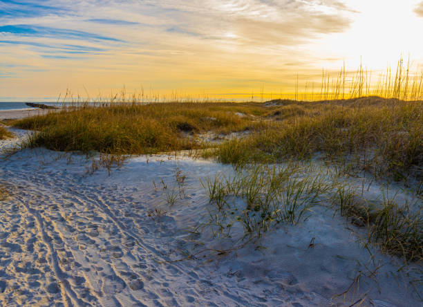 istock Path Through The Dunes to East Beach 2149391647